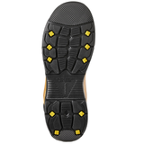 Terra Sentry 6" 2020