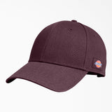 Dickies Twill Cap - WH101