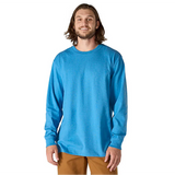 Loose Fit Heavyweight Long-Sleeve Logo Graphic T-Shirt - K231.