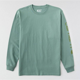 Carhartt Loose Fit Heavyweight Long-Sleeve Logo Graphic T-Shirt - K231