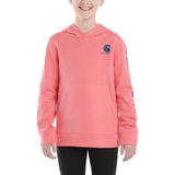 Carhartt Long-Sleeve Graphic Sweatshirt - Girls - CA9897