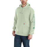 Carhartt Loose Fit Midweight Iconic Logo Sleeve Graphic Sweatshirt K288
