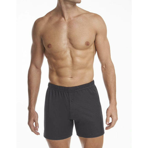 Boxer haut de gamme Stanfield pour hommes - paquet de 2 - A28