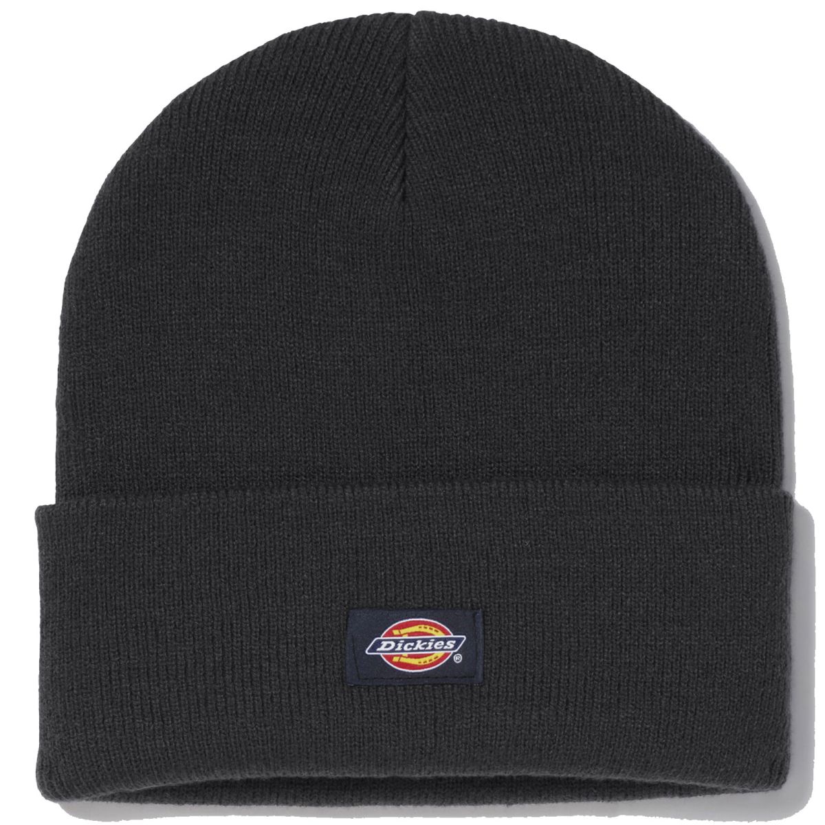 Dickies Bonnet en tricot à revers WH201 pour homme