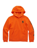 Carhartt Boys' Long-Sleeve Graphic Sweatshirt - CA6272