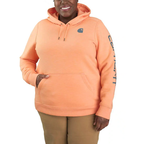 Carhartt women's clarksburg graphic sleeve pullover hoodie sales