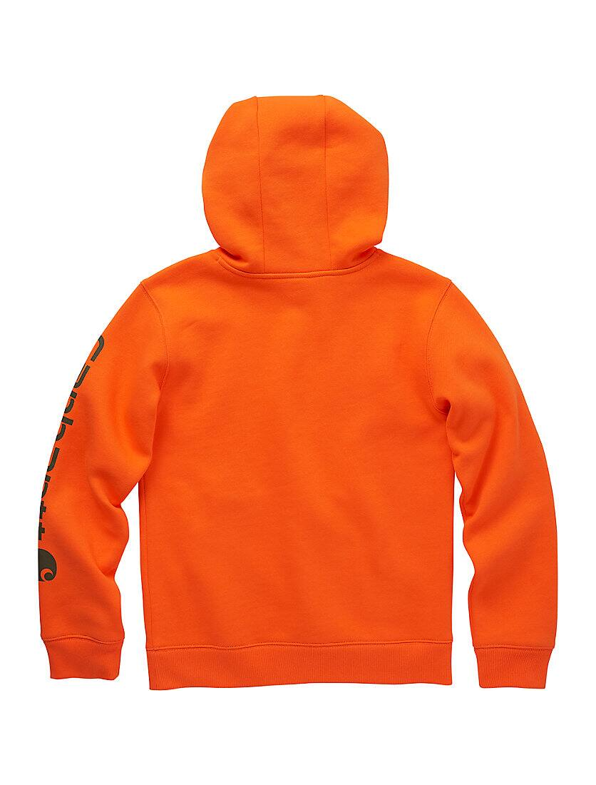Carhartt Boys' Long-Sleeve Graphic Sweatshirt - CA6272
